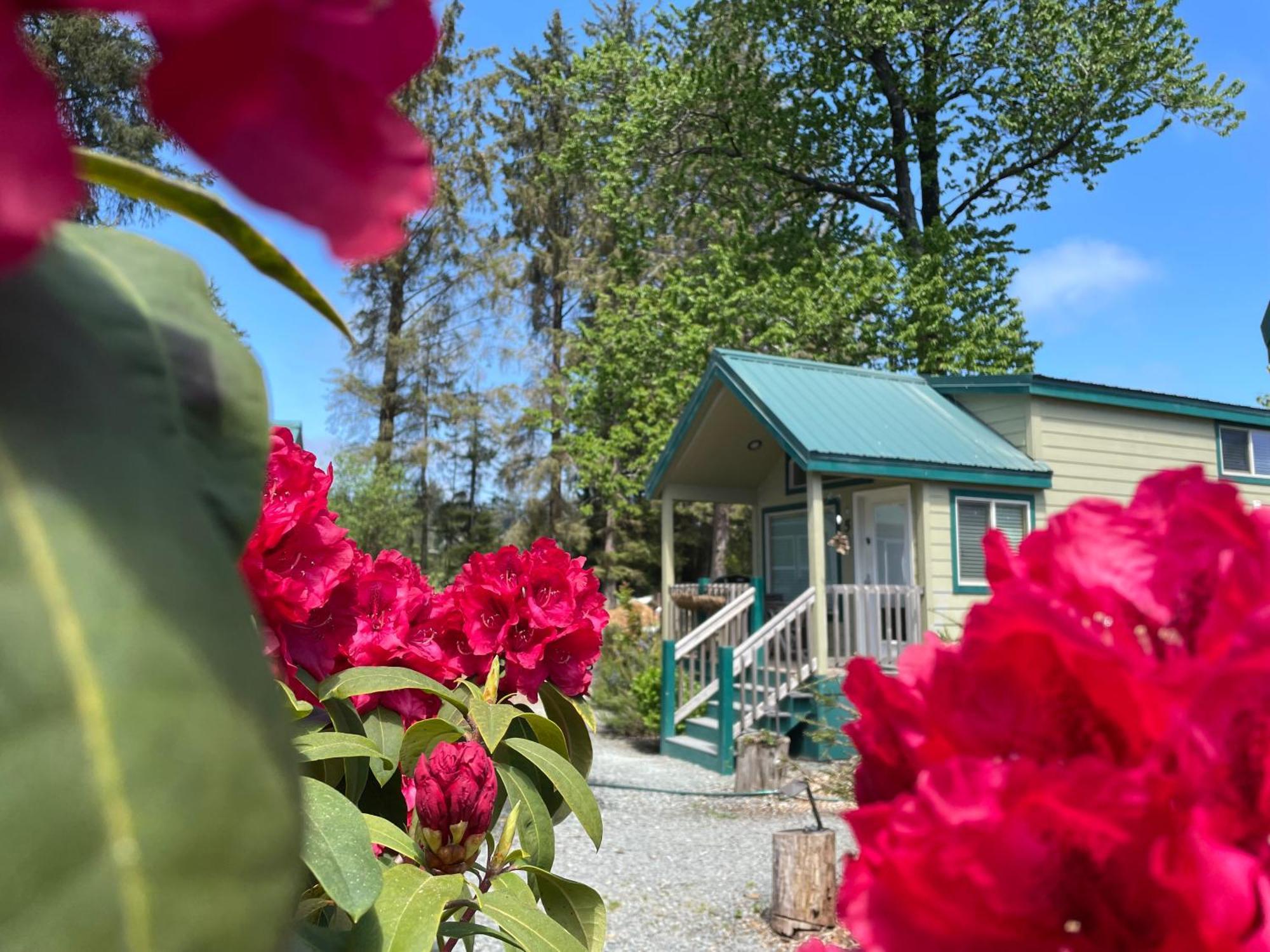 Sheltered Nook On Tillamook Bay Bed & Breakfast Bay City Exterior photo